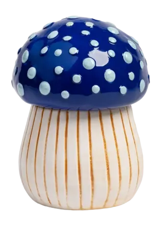 &k amsterdam Magic Mushroom Voorraadpot - Medium