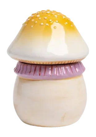 &k amsterdam Magic Mushroom Voorraadpot - Small